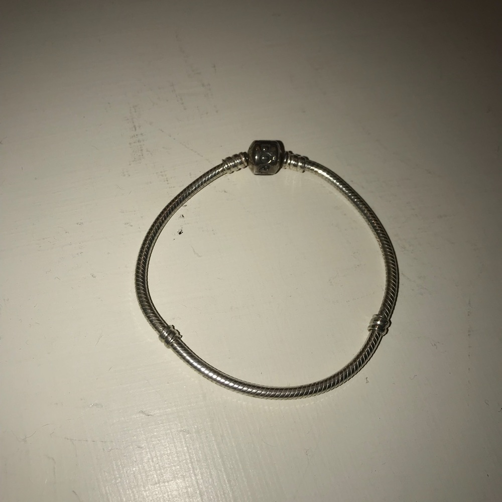 Iconic Silver Charm Pandora Bracelet